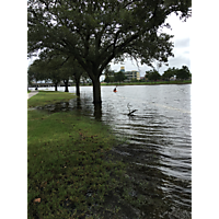 Hurricane Florence  image